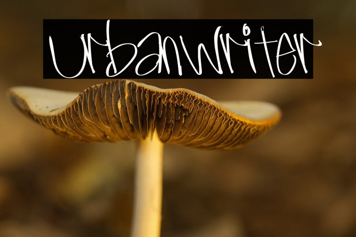 UrbanWriter Example 1