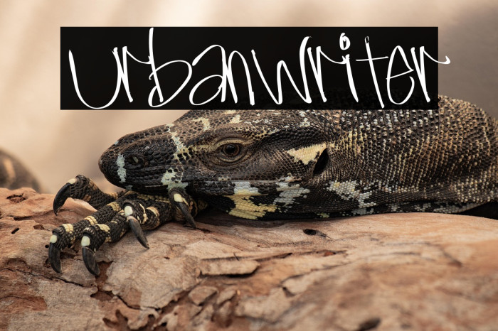 UrbanWriter Example 3