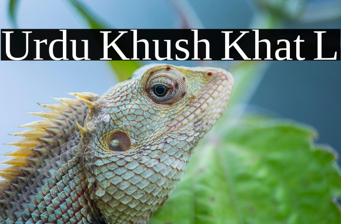 Urdu Khush Khat L Example 2