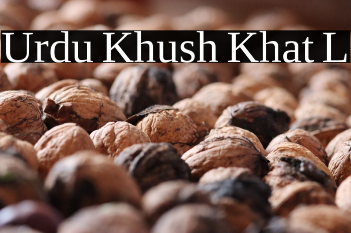 Urdu Khush Khat L Example 3