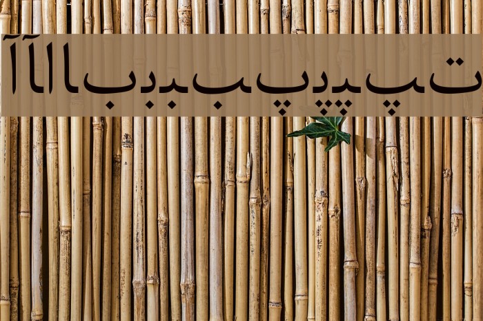Urdu Web Font examples