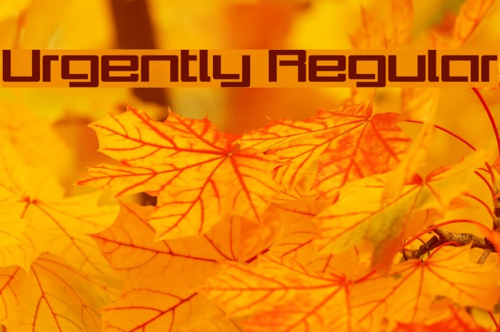 Urgently Regular Font examples