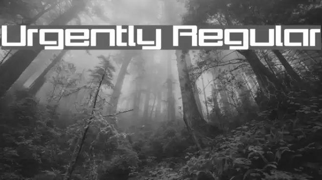 Urgently Regular Font examples
