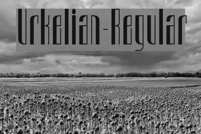 Urkelian-Regular Font examples