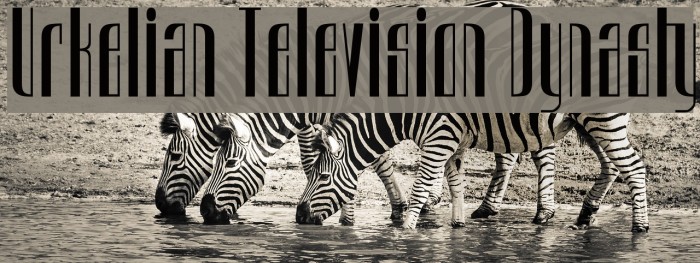 Urkelian Television Dynasty Polices examples