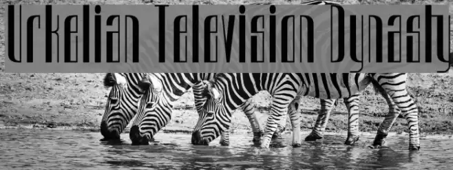 Urkelian Television Dynasty Fonte examples