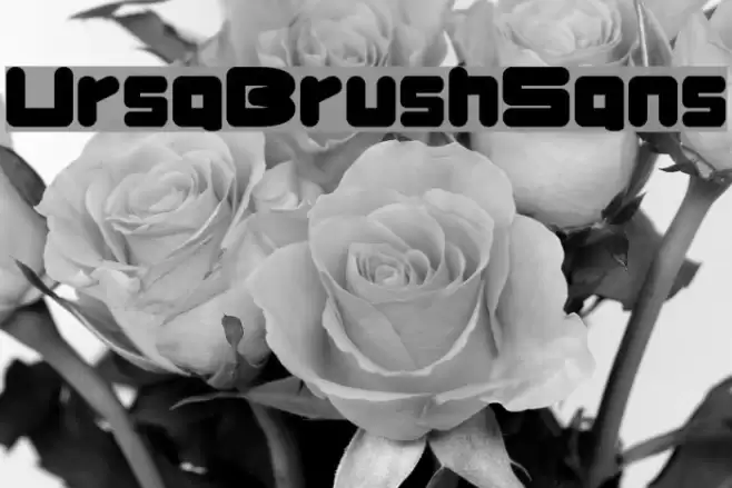 UrsaBrushSans Шрифта examples