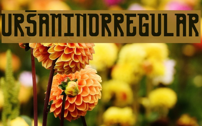 UrsaMinor-Regular Font examples
