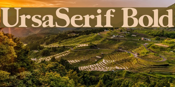 UrsaSerif Bold Font examples