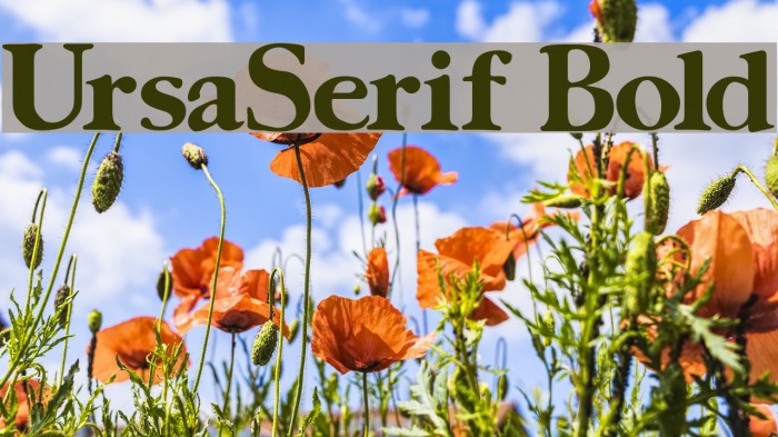 UrsaSerif Bold Font examples