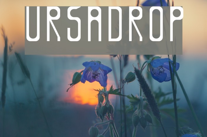 Ursadrop Font examples