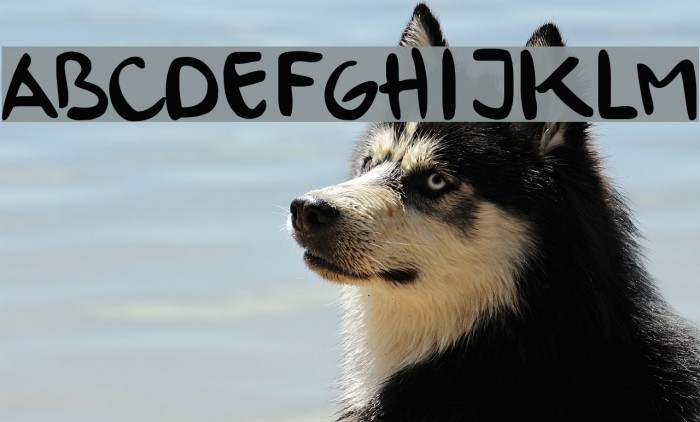 Ursula Handschrift Example 3