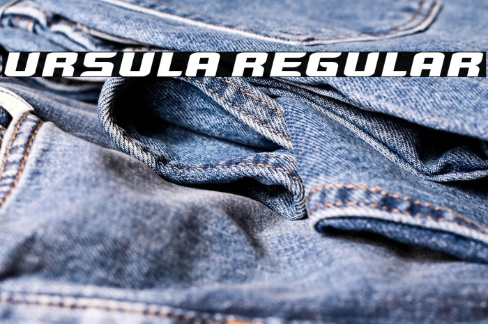 Ursula Regular Example 2