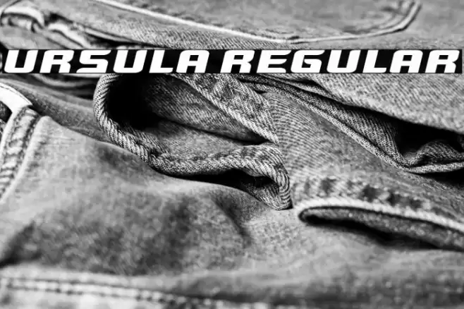 Ursula Regular Font examples