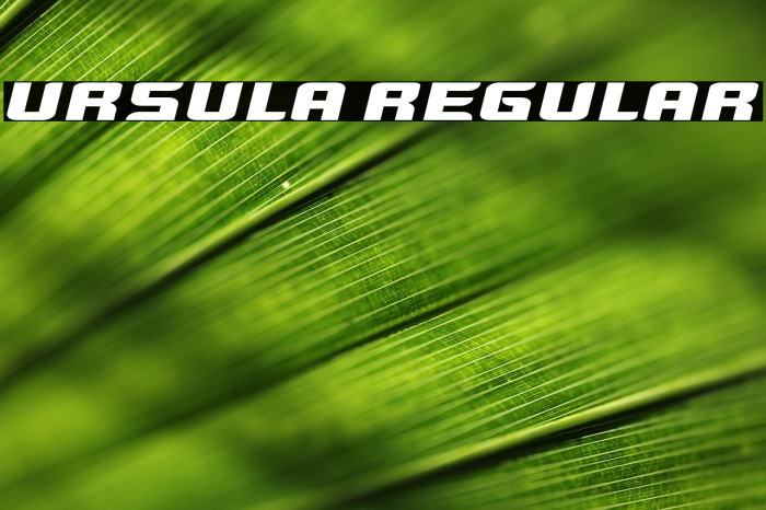 Ursula Regular Example 3