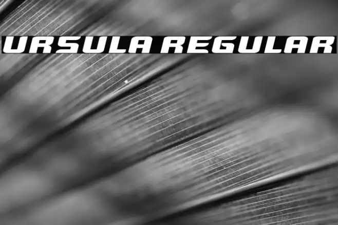 Ursula Regular Font examples