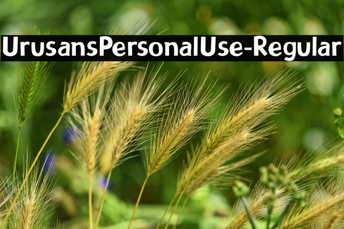 UrusansPersonalUse-Regular Example 3