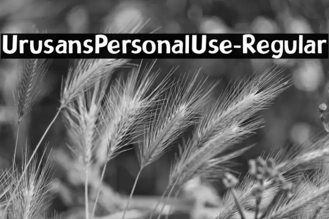 UrusansPersonalUse-Regular Font examples