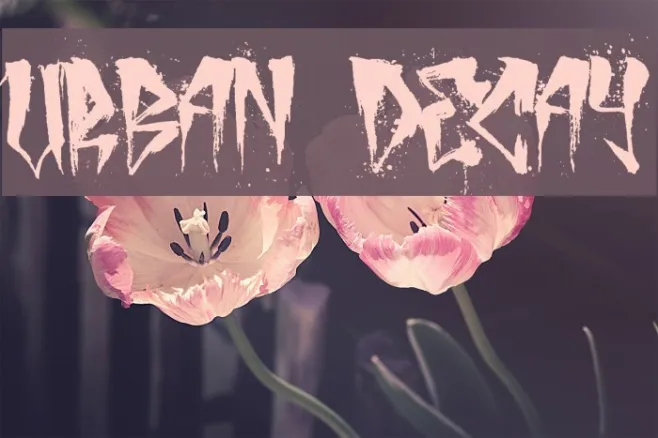 urban decay Example 2