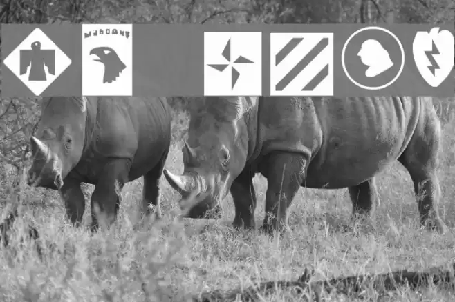 US Army Font examples