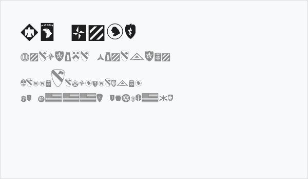 US Army Business Card