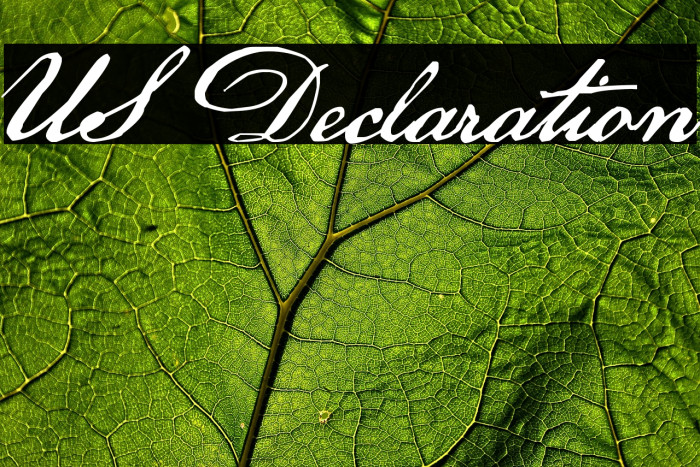 US Declaration Example 2