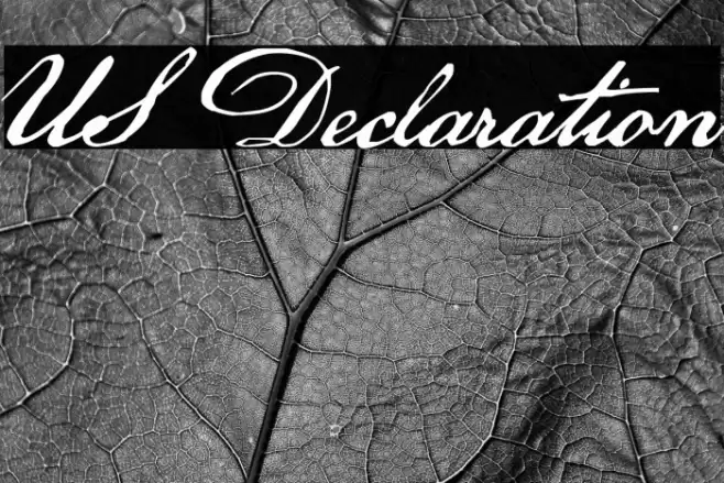 US Declaration Font | Free Download (TTF/OTF) | FFonts.net