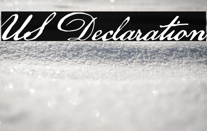 US Declaration Example 3