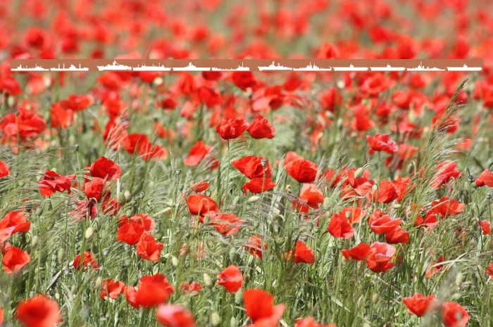 US Navy Mirror Example 1