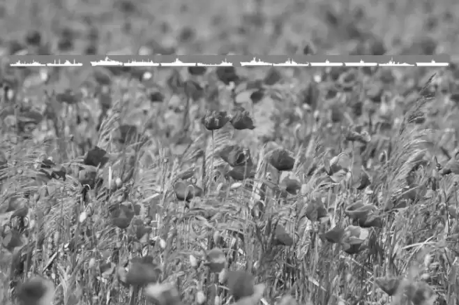 US Navy Mirror Font examples