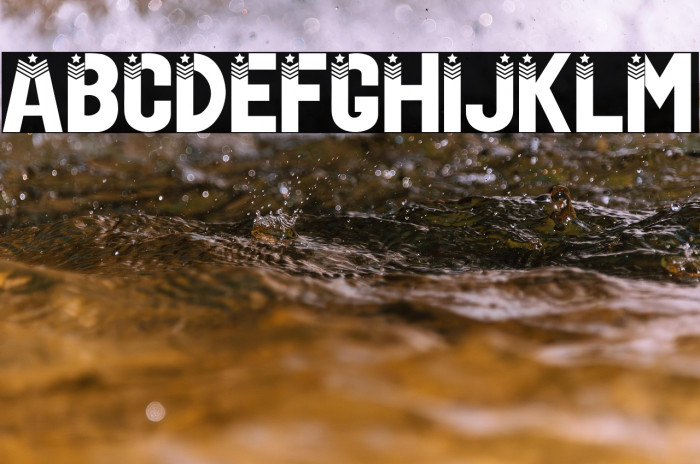 US Veteran Example 1