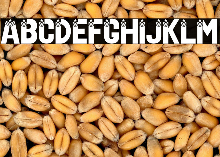 US Veteran Example 2