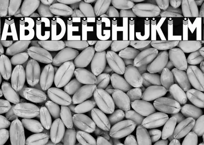 US Veteran Font examples