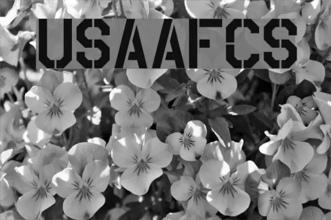 USAAF_Stencil Font examples