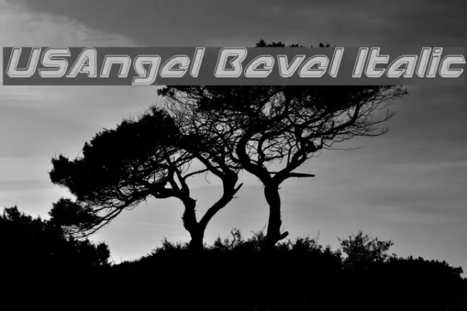 USAngel Bevel Italic Font examples