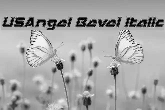 USAngel Bevel Italic Font examples
