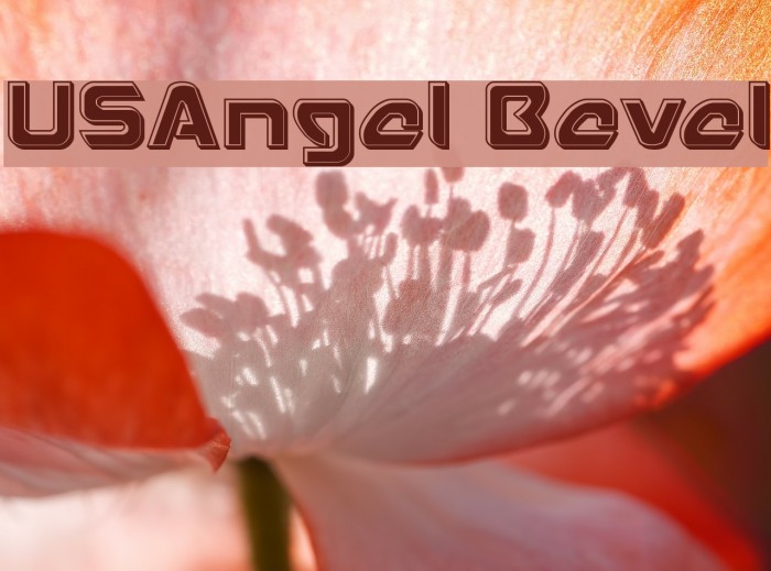 USAngel Bevel Font examples