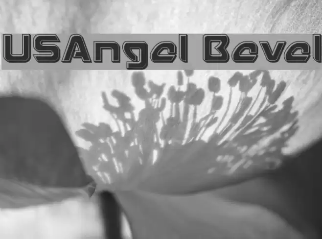 USAngel Bevel Fuentes examples