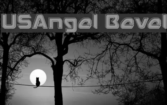 USAngel Bevel Fuentes examples