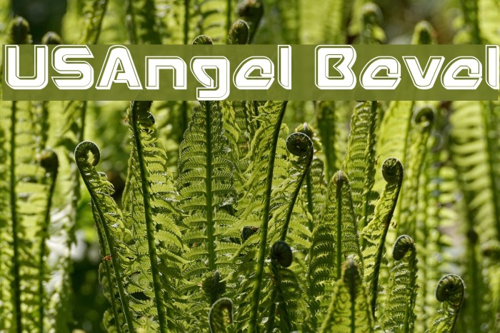 USAngel Bevel Font examples