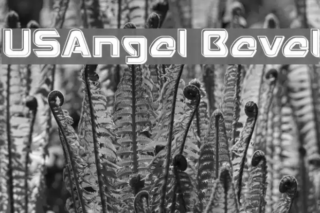 USAngel Bevel Fuentes examples