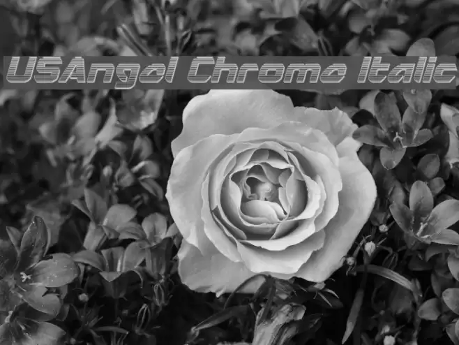 USAngel Chrome Italic Font examples