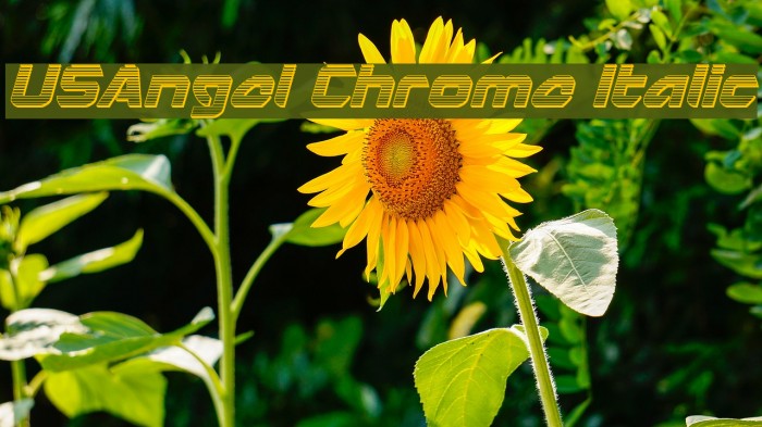 USAngel Chrome Italic Example 3