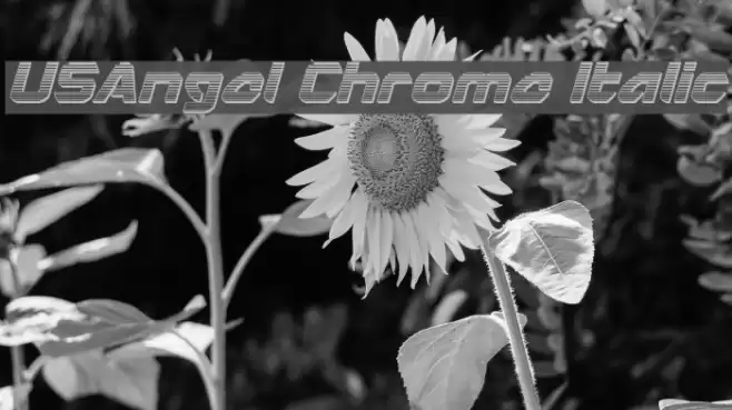 USAngel Chrome Italic Font examples
