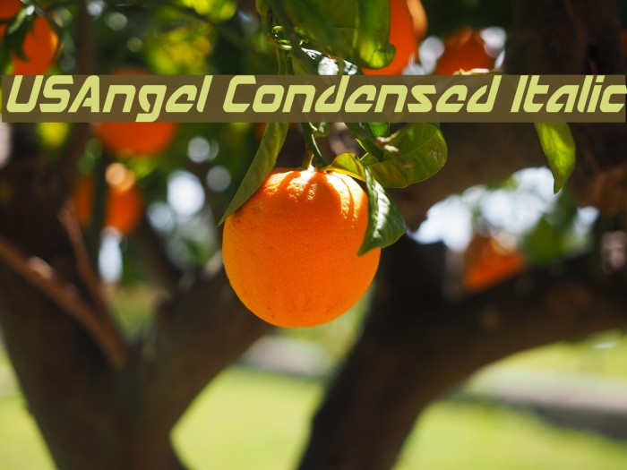 USAngel Condensed Italic Font examples
