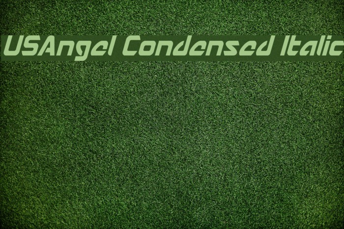 USAngel Condensed Italic Font examples