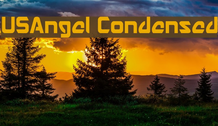 USAngel Condensed Example 2