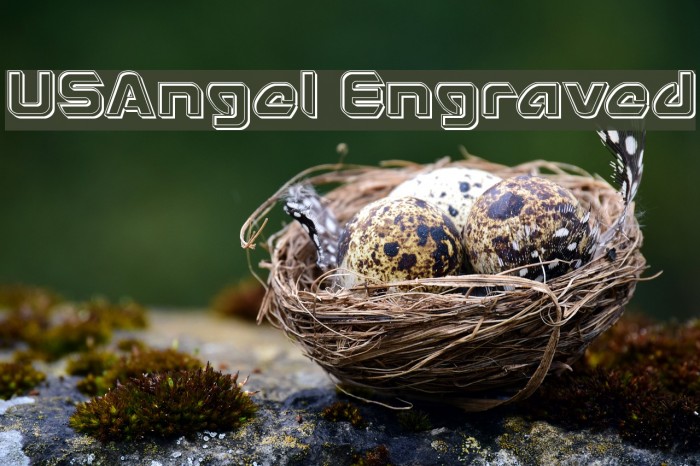 USAngel Engraved Font examples