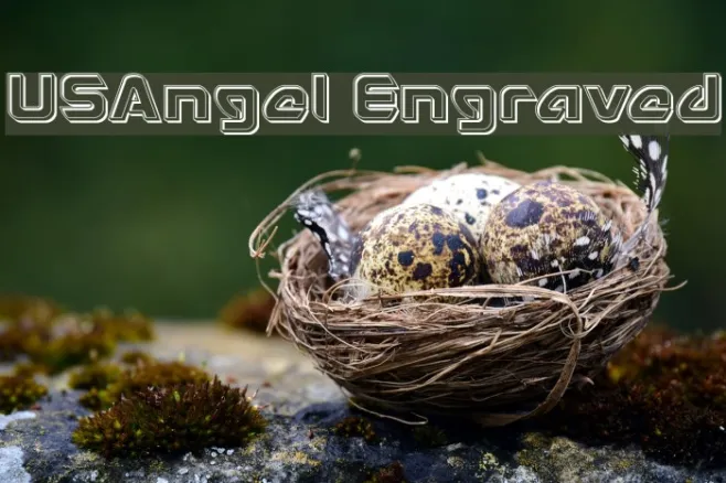 USAngel Engraved Example 3