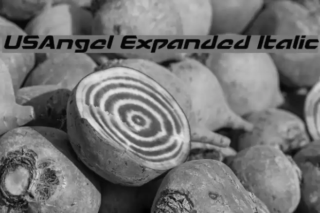 USAngel Expanded Italic Font examples